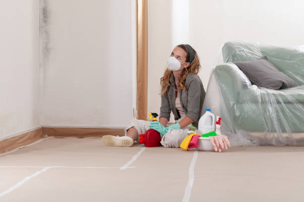 Reliable Hvac And Air Duct Mold Remediation contractor in Evans, CO by 24 Hour Mold Removal