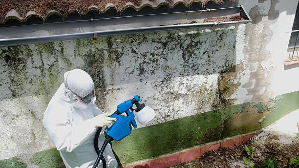 Top rated local Hvac And Air Duct Mold Remediation specialists in Evans, CO